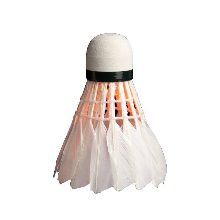 Plumbing badminton